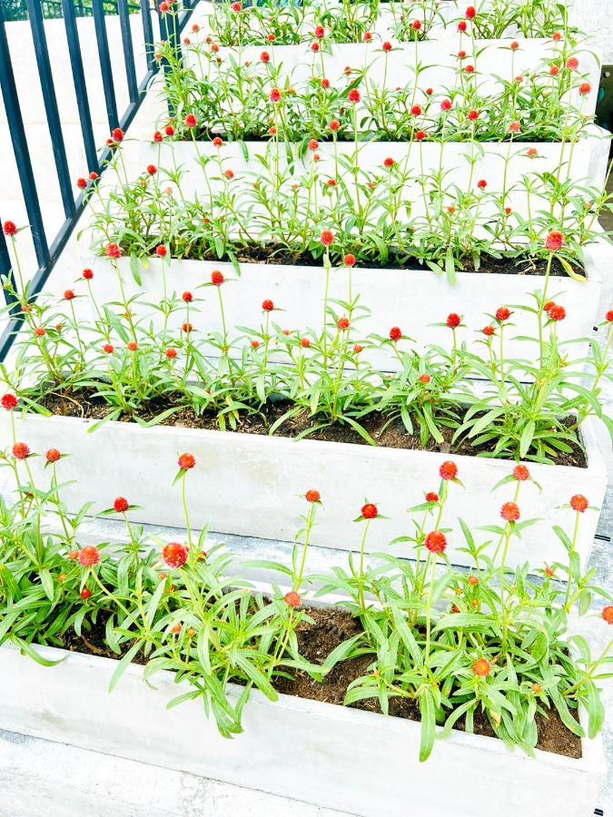 Farm View Resort @Uthai Thani ฟาร์มวิว รีสอร์ท อุทัยธานี Nong Khayang Εξωτερικό φωτογραφία