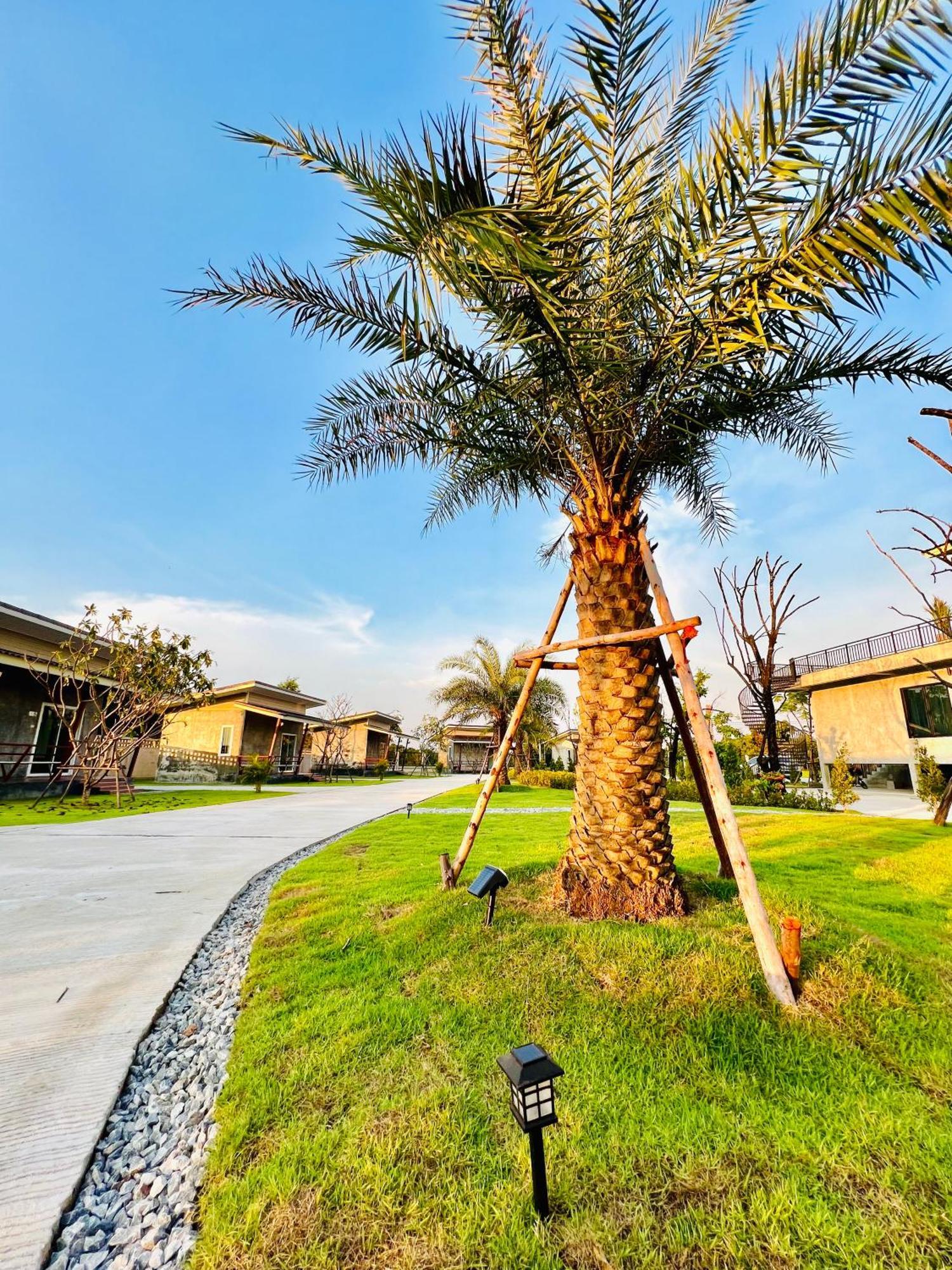 Farm View Resort @Uthai Thani ฟาร์มวิว รีสอร์ท อุทัยธานี Nong Khayang Εξωτερικό φωτογραφία